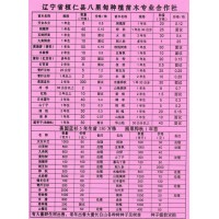 天女木兰-天女木兰1年生苗大量供应 东北苗木 园林绿化工程