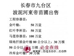 金叶榆杯苗-金叶榆扦插苗-波泥河东帝苗圃 东北绿化苗木图1