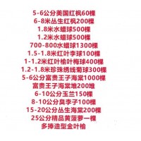 1.2米榆叶梅堆150堆 20元 东北苗木 园林绿化苗木价格