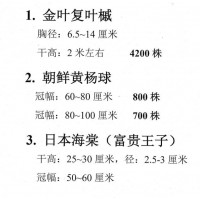 金叶复叶槭6-15公分 4000棵 东北绿化苗木 兴杰园艺场