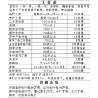 小叶丁香、大叶丁香-东北丁香杯苗大量供应 鸿飞园林苗木