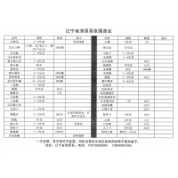 刺嫩芽1-2年苗200万 刺老包,甘肃叫乌龙头 张国苗木