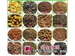 林木种子-五角枫种子-国槐种子-丁香种子-绿源苗木种子经销处图1