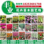  青州市丰业花卉苗木园艺场