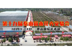 2024年第十九届泰山苗木花卉交易会