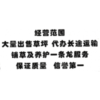 大量出售草坪 代办长途运输 铺草及养护 东北草坪基地