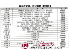 水曲柳 2米8断杆，6-10冠幅2米5左右，高4-6米图1