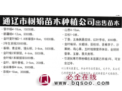 银中杨4-10cm 15000株 新疆杨 杨树苗 内蒙苗木图1