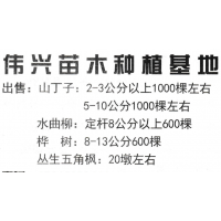 山丁子:2-10公分以上2000棵左右，东北绿化苗木基地