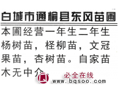 一年生二年生杨树苗 东风苗圃 东北绿化苗木基地 园林图1