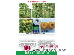 龙李苗-革命性的李子苗-天门市特色农业-湖北果树苗销售图1