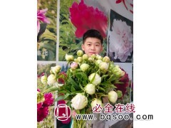 重瓣芍药鲜切花带香味 芍药鲜切切花 生活摆件鲜花 大王芍药图1