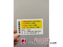 银杏银树米径15-35公分40亩-银杏苗大量-忠勇家庭农场图1