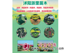 亮晶球-亮晶塔-亮晶多球造型-亮晶棒棒糖-沭阳浙里苗木图1