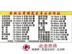 丛生乌桕-乌桕树-黄埔花木专业合作社-夏溪花木市场图1
