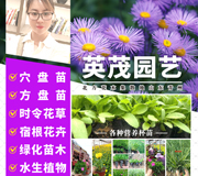 青州市英茂园艺有限公司