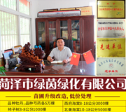 菏泽市绿茵绿化有限公司