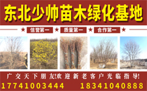 辽宁铁岭少帅苗木绿化基地