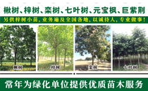 河南济森苑园林有限公司