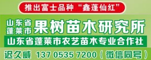 山东省蓬莱市农益苗木专业合作社