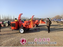 园林废弃物树枝粉碎机图2