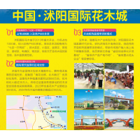 沭阳国际花木城_专业绿化苗木花卉盆景批发市场-商铺招租