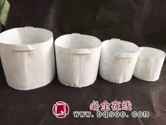 无纺布美植袋 花卉蔬菜植物种植袋 加厚种植育苗袋 金林湾商贸图1