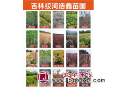 核桃楸树苗 胡桃楸 绿色观叶乔木基地大量种植批发 浩鑫苗圃图1