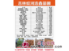 蒙古栎 辽东栎 蒙古栎裸根苗60-200公分 东北 浩鑫苗圃图1