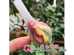 塑料网套厂现货直批玫瑰花网套 月季百合塑形包装网 鲜花套网图1