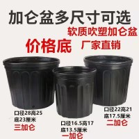 加仑盆优劣势 加仑盆多尺寸可选 软质吹塑加仑盆 德源园艺资材
