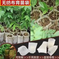 绿化苗木美植袋-绿化苗木美植袋批发 德源园艺资材 美植袋