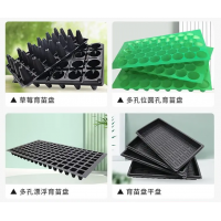 草莓育苗盘 水果蔬菜瓜果育苗培育穴盘 PET材质吸塑一次成型