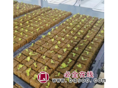 银通环保育苗穴盘种植块岩棉条稳定吸湿实力厂家图1