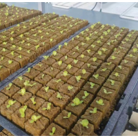 银通环保育苗穴盘种植块岩棉条稳定吸湿实力厂家