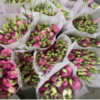 鲜花基地 洋桔梗批发店市场 销售供应鲜花 款到发货