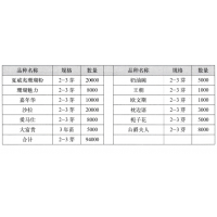 沙拉-爱马仕-大富贵专营，菏泽牡丹-芍药系列-城泽园艺