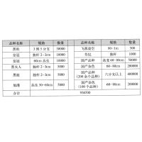 牡丹种子批发油用牡丹苗  菏泽市天香倾城农业种植合作社