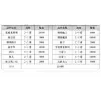 牡丹芍药 花朵大 易管理 菏泽朝通园艺有限公司 芍药苗