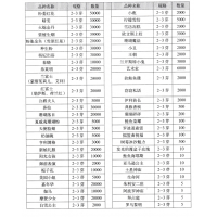 莎拉-珊瑚落日-芍药鲜切花-山东云上花花卉园艺有限公司
