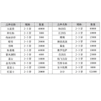 大富贵牡丹 牡丹苗 牡丹盆景 菏泽市佳旺花卉苗木有限公司