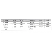 典雅香槟芍药鲜切花，菏泽市睿森花卉 羞涩公主进口芍药品种