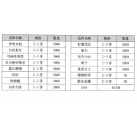 阳光女孩 牡丹苗 牡丹盆景 芍药苗 菏泽花知语花卉有限公司