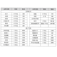 百年牡丹树-高枝嫁接牡丹-菏泽兆屹农林科技有限公司 牡丹苗