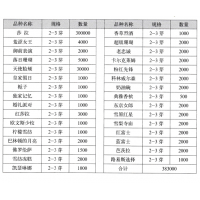 羞涩女王芍药花 鲜切花 进口芍药 菏泽绚彩花卉园艺有限公司
