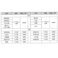 彤云牡丹 粉凌红花芍药苗 菏泽界为牡丹芍药培植基地 芍药