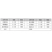 柠檬雪纺芍药 菏泽芍药鲜切花供不应求 菏泽市瑞丰农业合作社