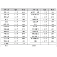 芍药养护心得佛罗伦萨芍药花 山东桂陵花卉苗木有限公司 芍药