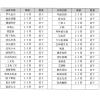 肖尔顿高端芍药“罗马金币” 菏泽市倾城芍韵花卉公司