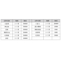 大富贵2-3芽 芍药福利苗 菏泽市大王芍药园艺有限公司
